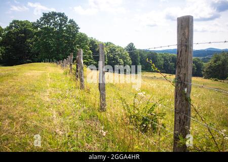 Stacheldrahtzaun entlang einer Weide auf dem Blue Ridge Parkway. Stockfoto