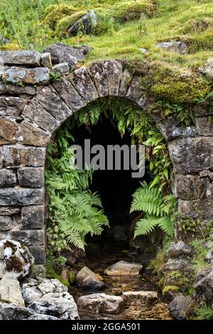 Farne und andere Pflanzen, die am Eingang der stillwerdenden Bunton Level Mine, Gunnerside Gill, Swaledale, Yorkshire Dales, Großbritannien, wachsen Stockfoto