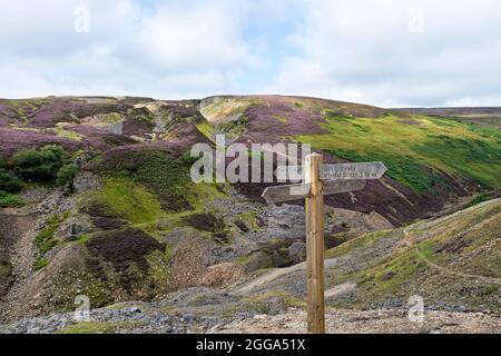 Fussweg-Zeichen in Gunnerside Gill mit einer Kulisse von blühendem Heidekraut, das langsam die industrialisierte Landschaft der alten Minen und Hushes neu anstrebt, Stockfoto