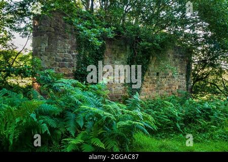 Große Sandsteinwand, die gebaut wurde, um Ziele auf einem alten Schießstand auf dem überwucherten und jetzt bewaldeten Wadsley Common, NW Sheffield, zu halten. Stockfoto