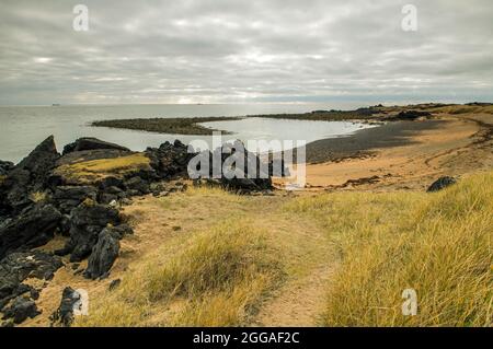 Budir Beach, nur einer von einer kleinen Handvoll sandfarbener Strände an der isländischen Küste Stockfoto