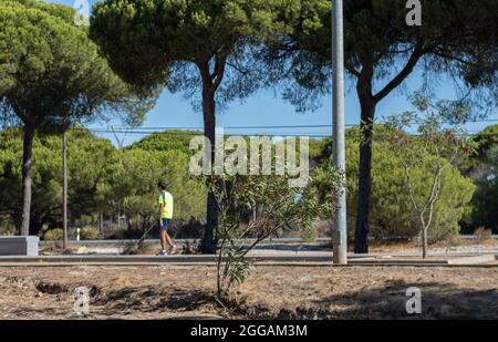 Ein blinder Mann, der sich sportlich kleidete und mit seinem weißen Stock auf einem Pfad mit Bäumen und Vegetation ging. Stockfoto