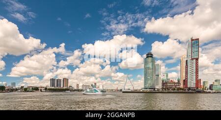 Panorama-Stadtbild des südlichen Teils der niederländischen Stadt Rotterdam mit großen Bürotürmen Stockfoto