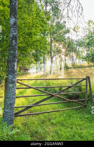 Holztor zu einer Wiese im Wald Stockfoto