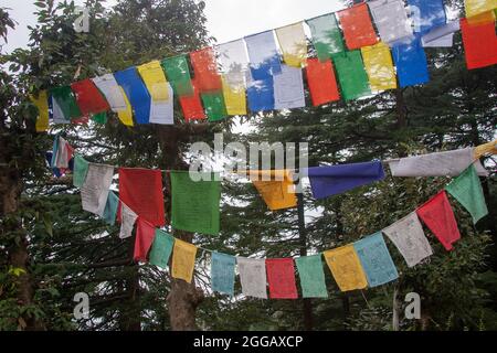 Tibetische Gebetsfahnen am Tempel des Dalai Lama, Dharamsala, Himachal Pradesh, Indien Stockfoto