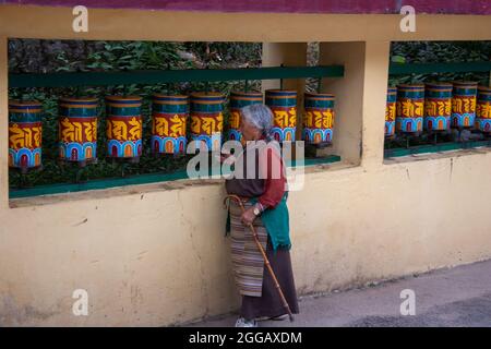 Das tibetisch-buddhistische Gebet rollt am Tempel des Dalai Lama, Dharamsala, Himachal Pradesh, Indien Stockfoto
