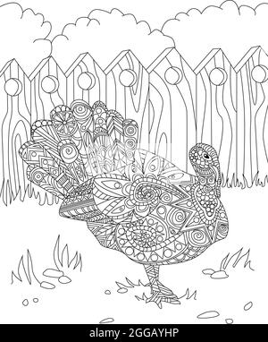 Linienzeichnung eines großen schönen Pfauenvogels mit geöffnetem Schwanz, der allein im Zaun wegschaut. Große Hübsche Hühnerspezies Zeichnung Hat Stock Vektor