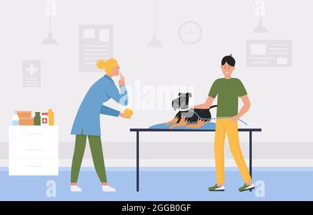 Tierarzt ärztliche Untersuchung, Tierbesitzer und Hund in der Tierklinik Innenraum Vektor-Illustration. Cartoon medizinische Facharzt Untersuchung Welpen auf dem Tisch, Tierarzt Gesundheit in Medizin Büro Hintergrund Stock Vektor
