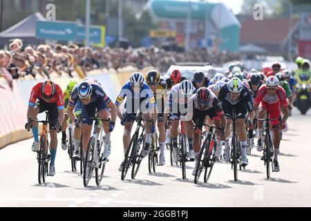 Der Belgier Tim Merlier von Alpecin-Fenix feiert, als er die Ziellinie überquert, um die erste Etappe der Benelux-Radtour zu gewinnen, die 169,6 km von Surhui entfernt liegt Stockfoto