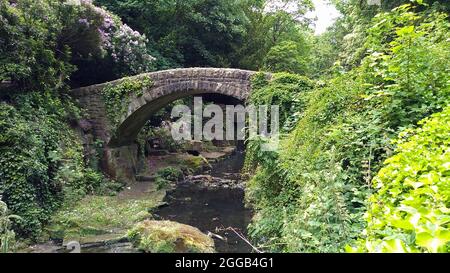 NEWCASTLE. TYNE und WEAR. ENGLAND. 06-24-21. Jesmond Dene, die Fußgängerbrücke über den Ouseburn, die an den Ruinen der nahegelegenen Wassermühle vorbeifließt Stockfoto