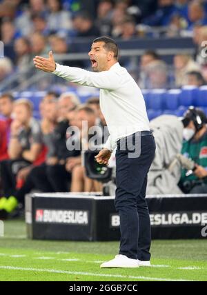 Gelsenkirchen, Deutschland. 29. Aug 2021. Trainer Diwidrios GRAMMOZIS (GE) Geste, Geste, Fußball 2. Bundesliga, 5. Spieltag, FC Schalke 04 (GE) - Fortuna Düsseldorf (D) 3: 1, am 08 28/2021 in Gelsenkirchen/Deutschland. Die DFL-Bestimmungen von #verbieten die Verwendung von Fotos als Bildsequenzen und/oder quasi-Video # Â Credit: dpa/Alamy Live News Stockfoto