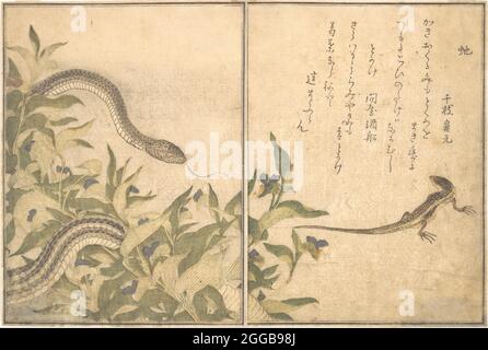 Rattenschlange (Hebi); Eidechse oder Skink (Tokage), aus dem Bilderbuch der kriechenden Kreaturen (Ehin mushi erami), 1788. Stockfoto