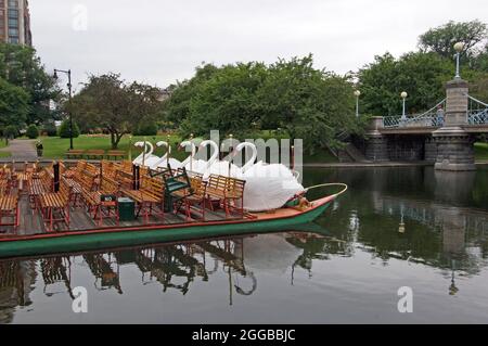 Historische Schwanenboote in öffentlichen Gärten in Boston, Massachusetts Stockfoto