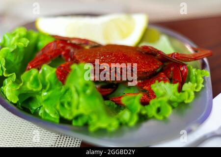 Teller mit roten Krabben bereit zu essen Stockfoto