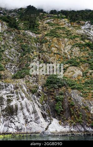 Wasserfall, fließendes Wasser, Kaskadierung, Felswand, Natur, Nebel oben, grüne Vegetation, Milford Sound, Fiordland National Park, Te Anau, Neuseeland Stockfoto