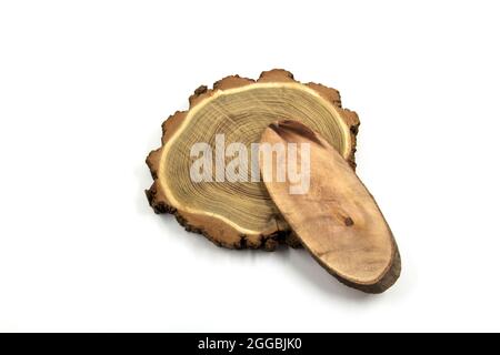 Holzringe, die verwendet werden können, um die Entkopplungsmethode zu malen. Stockfoto