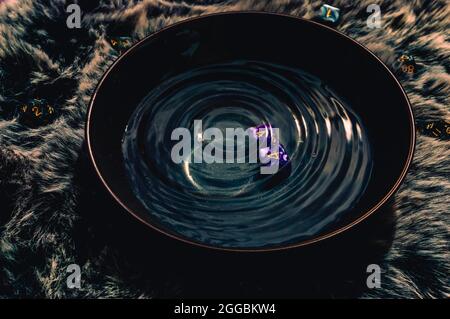 Bild von zwei lila Rollenspielwürfeln in einer Schüssel, die mit plätscherndem Wasser auf einem braunen Fell gefüllt ist. Stockfoto