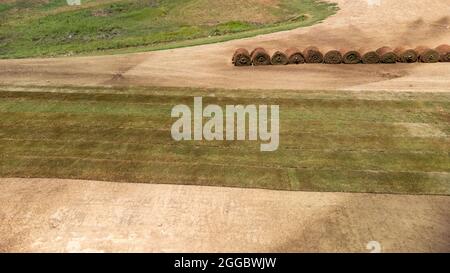 Die Rollen des neuen Grases wurden in den frischen Reihen auf das schmutzige Los gelegt Stockfoto