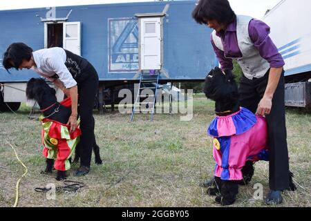 Kramatorsk, Ukraine. August 2021. Während der Kramatorsker Zeltshow werden Künstler mit ihren Hunden gesehen, die sich vorbereiten. Traditionelle Zeltshows sind im 21. Jahrhundert bei ukrainischen Menschen jeden Alters immer noch sehr beliebt. Kredit: SOPA Images Limited/Alamy Live Nachrichten Stockfoto