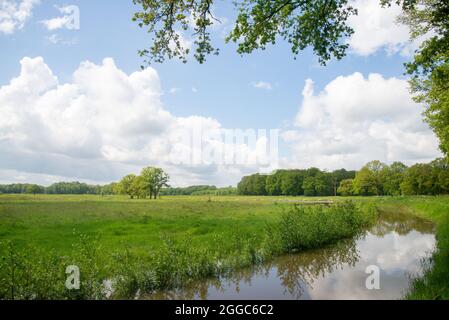 Überschwemmten Ackerland in Gelderland, Holland Stockfoto