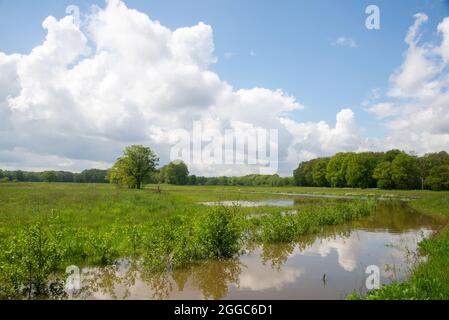 Überschwemmten Ackerland in Gelderland, Holland Stockfoto