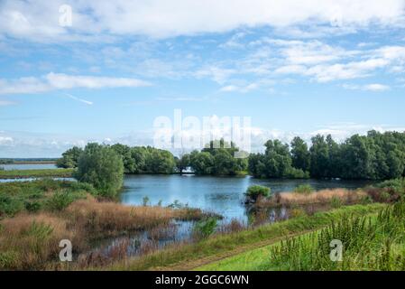 Landschaft zwischen den beiden großen Flüssen Maas und Waal in den Niederlanden Stockfoto