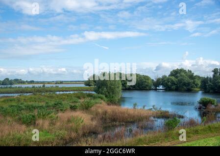 Landschaft zwischen den beiden großen Flüssen Maas und Waal in den Niederlanden Stockfoto