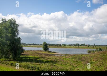 Landschaft zwischen den beiden großen Flüssen Maas und Waal in den Niederlanden Stockfoto