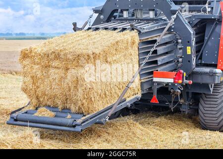 Der Prozess der Getreideernte in einem landwirtschaftlichen Feld, wobei Strohscheiben zu dichten Briketts geformt werden. Stockfoto