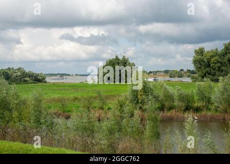 Landschaft zwischen den beiden großen Flüssen Maas und Waal in den Niederlanden Stockfoto