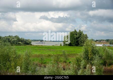 Landschaft zwischen den beiden großen Flüssen Maas und Waal in den Niederlanden Stockfoto