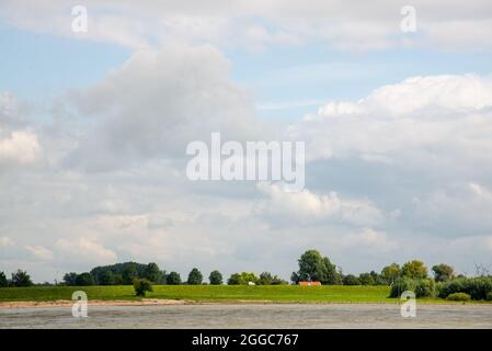 Landschaft zwischen den beiden großen Flüssen Maas und Waal in den Niederlanden Stockfoto