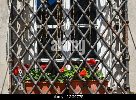Nahaufnahme des Fensters, das von einem rostigen Eisengitter mit blühenden roten Geranien auf der Fensterbank geschlossen wird, Livorno, Toskana, Italien Stockfoto