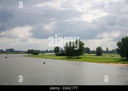 Landschaft zwischen den beiden großen Flüssen Maas und Waal in den Niederlanden Stockfoto