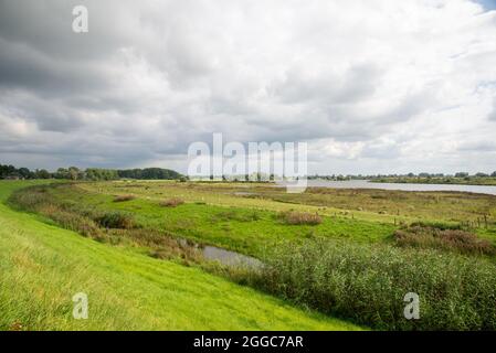 Landschaft zwischen den beiden großen Flüssen Maas und Waal in den Niederlanden Stockfoto