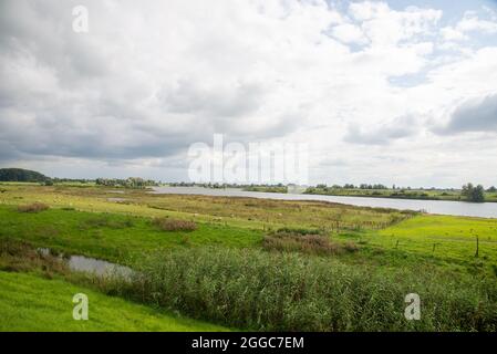 Landschaft zwischen den beiden großen Flüssen Maas und Waal in den Niederlanden Stockfoto