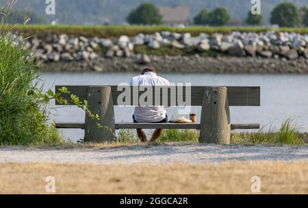 Rückansicht eines Mannes, der allein auf einer Holzbank am Fluss, See oder Meer sitzt und Frühstück und Kaffee zum Mitnehmen hat. Natur Entspannen Sie sich im Freien. S Stockfoto