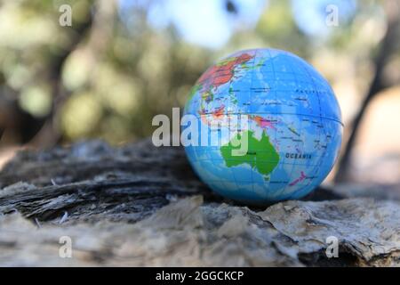 Erdkugel in der Natur mit Bäumen am Bach im Hintergrund. Stockfoto