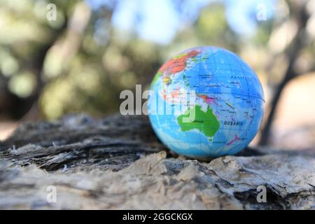 Erdkugel in der Natur mit Bäumen am Bach im Hintergrund. Stockfoto