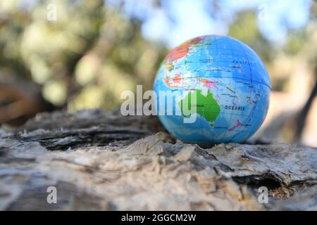 Erdkugel in der Natur mit Bäumen am Bach im Hintergrund. Stockfoto