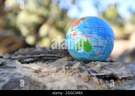 Erdkugel in der Natur mit Bäumen am Bach im Hintergrund. Stockfoto