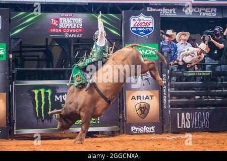 Fort Worth, Texas, USA. August 2021. Professional Bull Riders in Aktion während des Tractor Supply Co. Iron Cowboy Bull Riding Events in der Dickies Arena in Fort Worth, Texas. (Bild: © Dan Wozniak/ZUMA Press Wire) Stockfoto