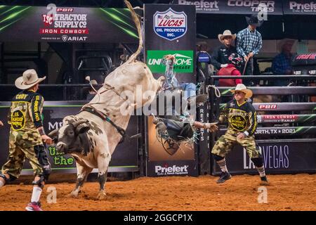 Fort Worth, Texas, USA. August 2021. Professional Bull Riders in Aktion während des Tractor Supply Co. Iron Cowboy Bull Riding Events in der Dickies Arena in Fort Worth, Texas. (Bild: © Dan Wozniak/ZUMA Press Wire) Stockfoto