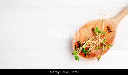 Organix Flachs Microgreens sprießt in Holzlöffel isoliert auf weißem Hintergrund Stockfoto