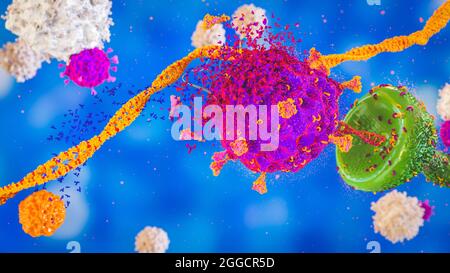 COVID-19-Virus SARS-COV-2-Coronavirus, das einen Zellrezeptor angreift, der durch die Antikörper B-Cell mit T-Cell-Hintergrund und DNA-ARN, covid-19, zerstört wird Stockfoto