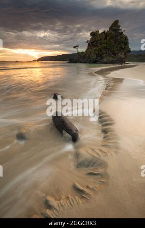 Blick entlang der Küste von Big Bungaree Beach, Stewart Island Rakiura Stockfoto