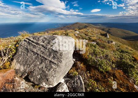 Granitblock auf dem Gipfel des Mt. Anglem Hananui. Stewart Island Rakiura Stockfoto