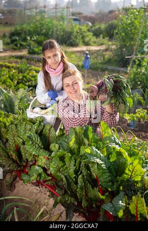 Bauern Frau und junges Mädchen, die frische Rote Bete in der Hand halten Stockfoto