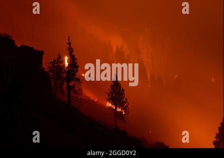 30. August 2021, Stateline, NV, USA: Feuer brennt auf dem Highway 50 östlich des Echo Summit während des Caldor-Feuers am Montag, den 30. August 2021 im El Dorado County. (Bild: © Paul Kitagaki Jr./ZUMA Press Wire) Stockfoto