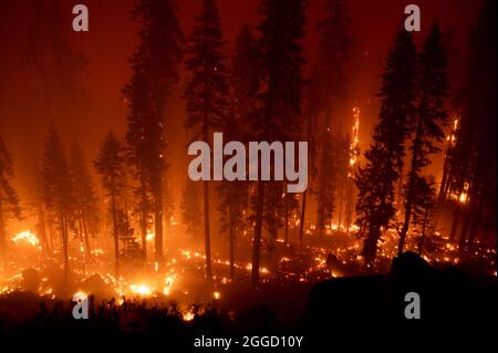 Stateline, NV, USA. August 2021. Während des Caldor-Feuers am Montag, den 30. August 2021 in El Dorado County, brennt auf dem Highway 50 östlich des Echo Summit Feuer. (Bild: © Paul Kitagaki Jr./ZUMA Press Wire) Stockfoto